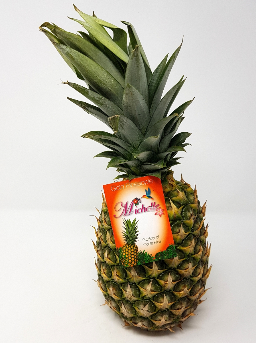 Wiesenland Obst und Gemüse Produktdetail Ananas Extra Sweet XXL C.RICA