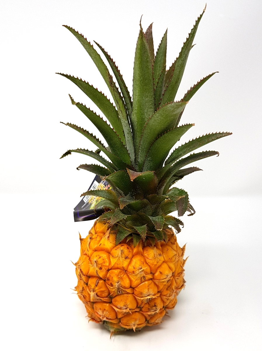 Wiesenland Obst und Gemüse Produktdetail Ananas Baby Premium MAU